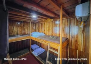 Shared Cabin (4 Guests)
