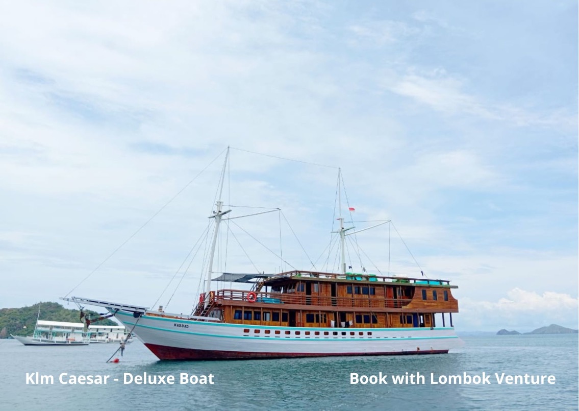 KLM Caesar Luxury Komodo Cruise